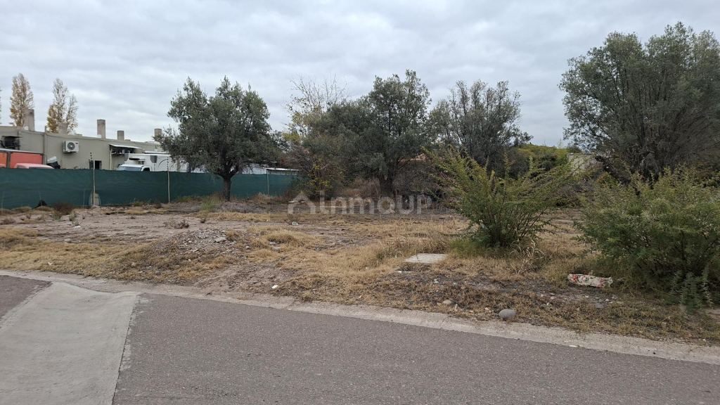 Terreno en Venta en Lujan de Cuyo, Mendoza