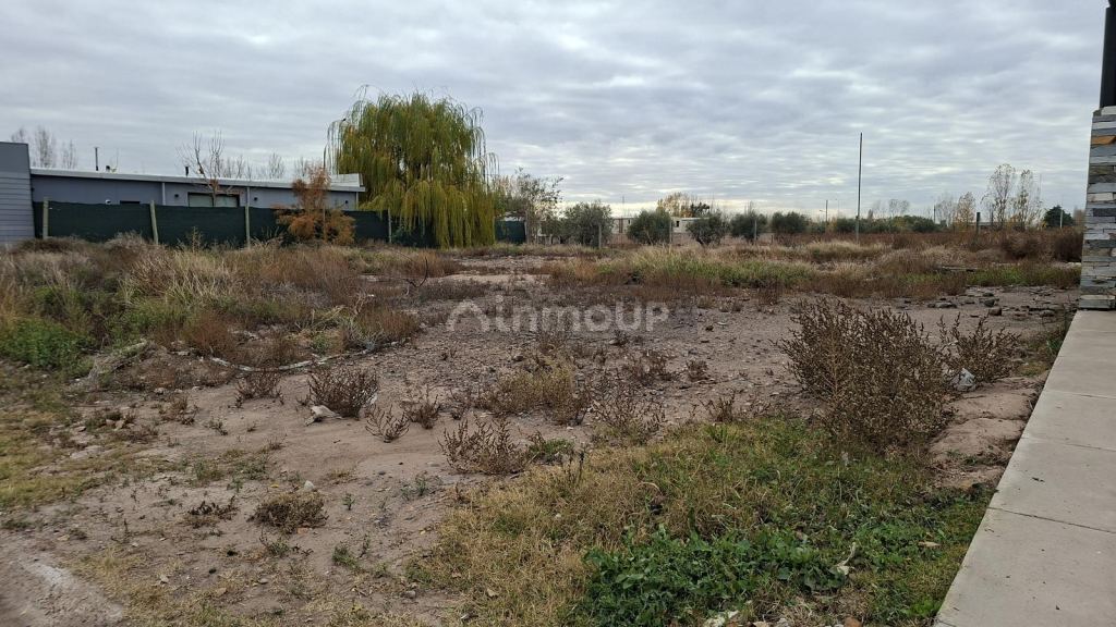 Terreno en Venta en Lujan de Cuyo, Mendoza