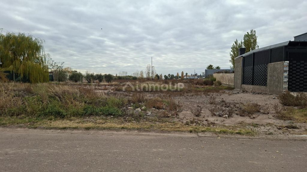 Terreno en Venta en Lujan de Cuyo, Mendoza