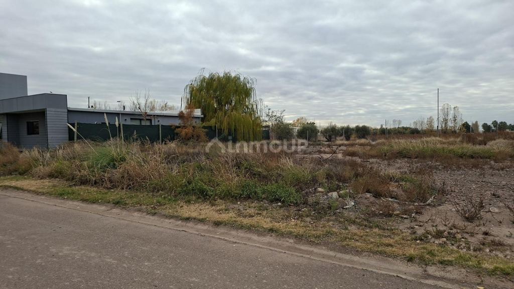 Terreno en Venta en Lujan de Cuyo, Mendoza