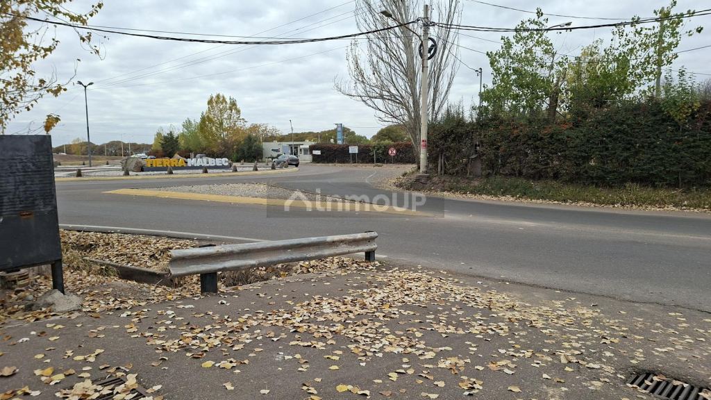 Terreno en Venta en Lujan de Cuyo, Mendoza
