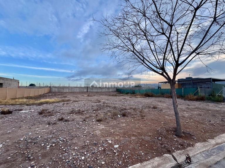 Terreno en Venta en Maipu, Mendoza