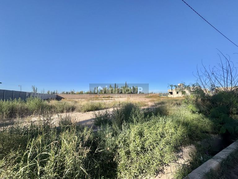 Terreno en Venta en Lujan de Cuyo, Mendoza