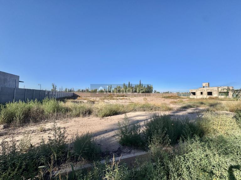 Terreno en Venta en Lujan de Cuyo, Mendoza