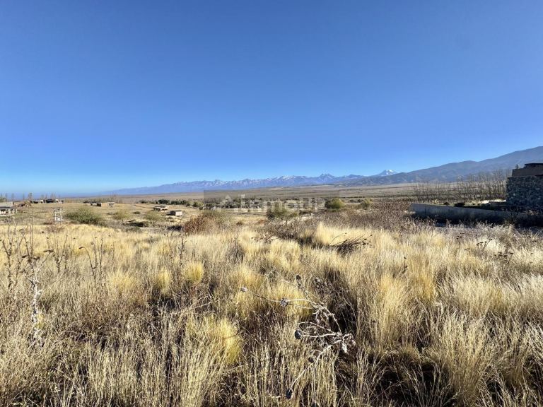 Terreno en Venta en Tupungato, Mendoza