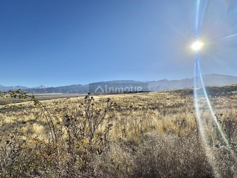 Terreno en Venta en Tupungato, Mendoza