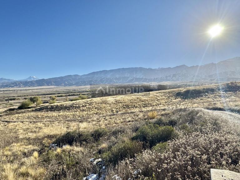 Terreno en Venta en Tupungato, Mendoza