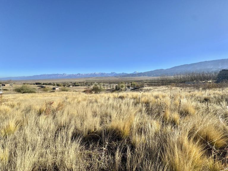Terreno en Venta en Tupungato, Mendoza