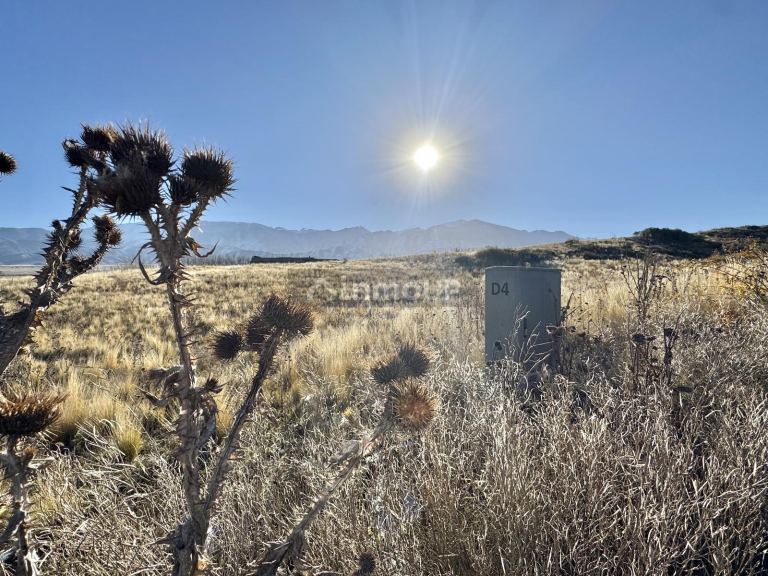 Terreno en Venta en Tupungato, Mendoza