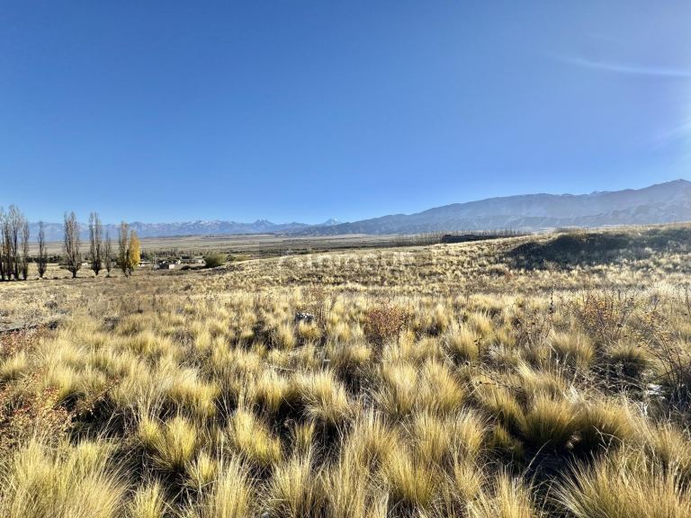 Terreno en Venta en Tupungato, Mendoza