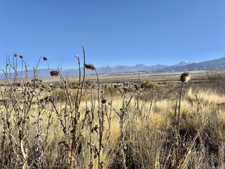 Terreno en Venta en Tupungato, Mendoza