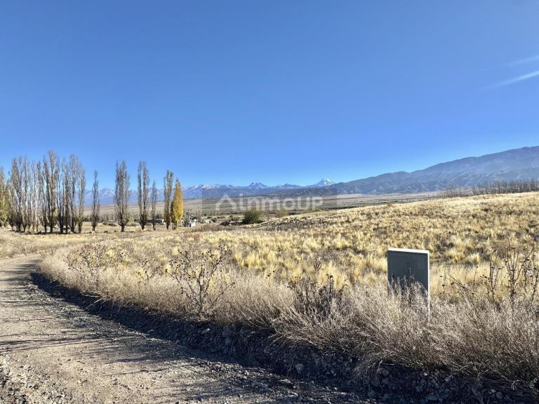 Terreno en Venta en Tupungato, Mendoza