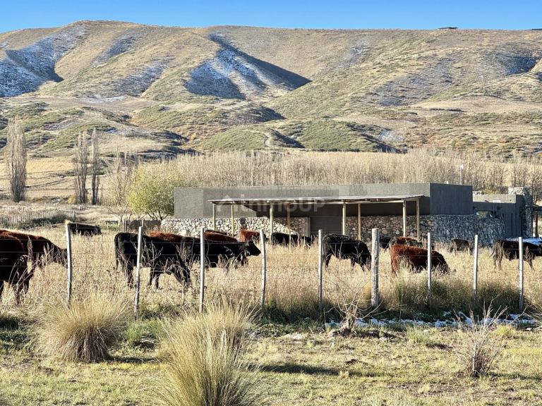 Terreno en Venta en Tupungato, Mendoza