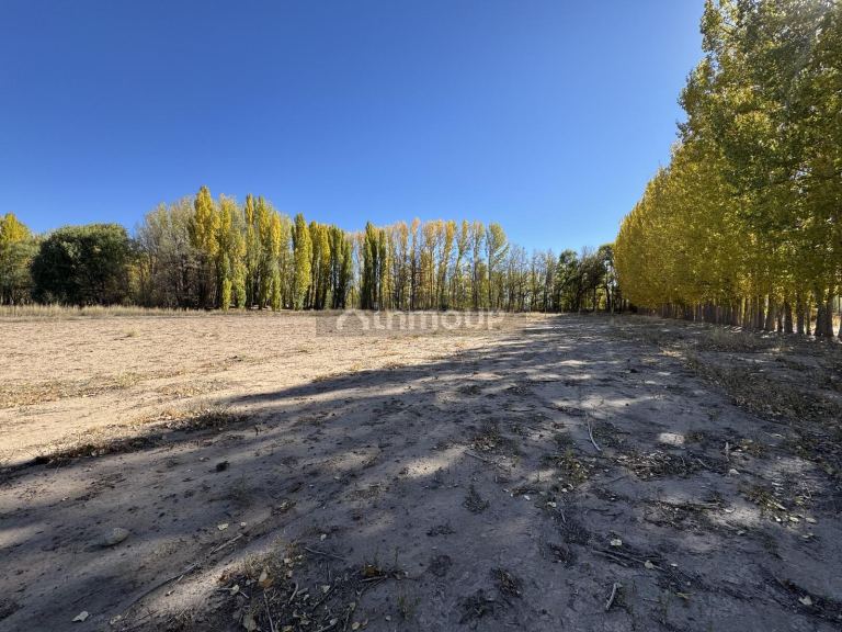 Terreno en Venta en Las Heras, Mendoza