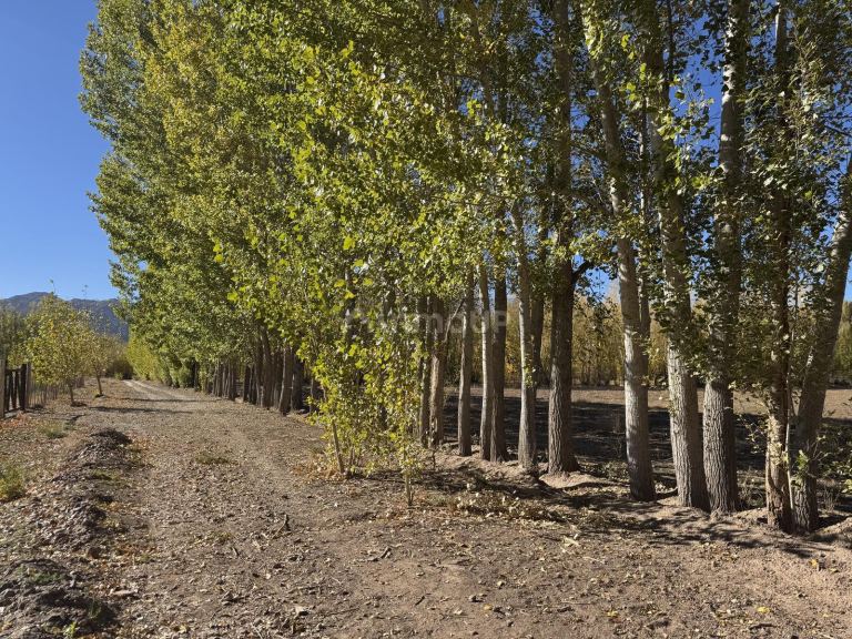 Terreno en Venta en Las Heras, Mendoza