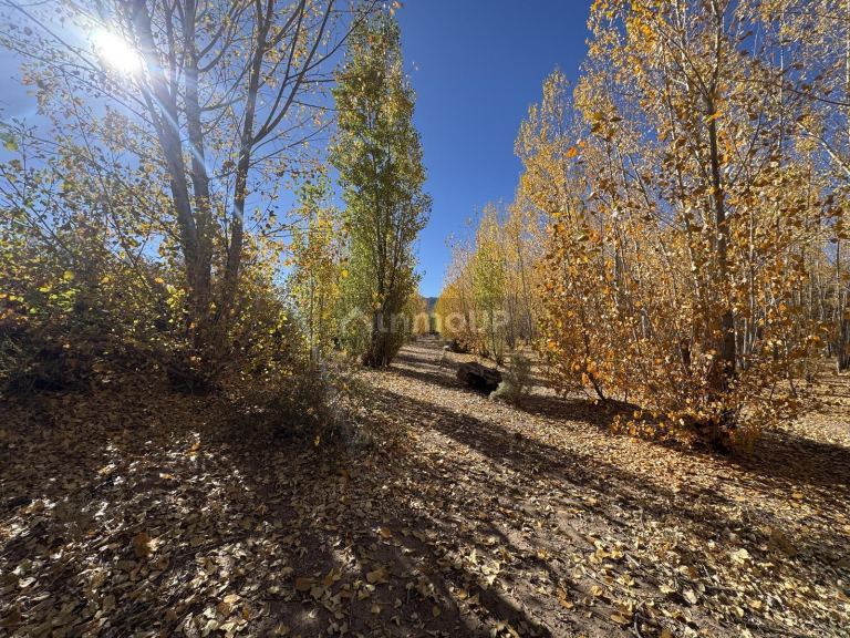 Terreno en Venta en Las Heras, Mendoza