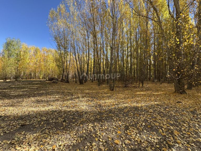 Terreno en Venta en Las Heras, Mendoza