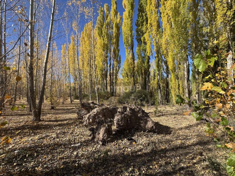 Terreno en Venta en Las Heras, Mendoza