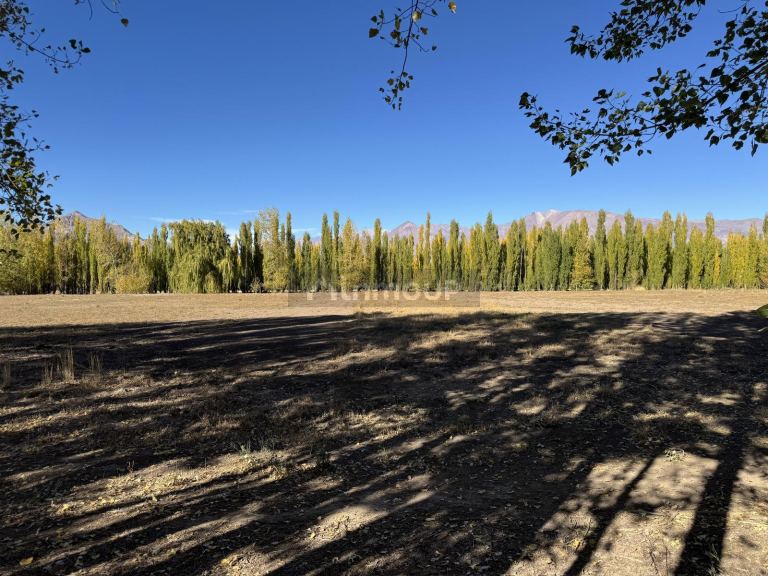 Terreno en Venta en Las Heras, Mendoza