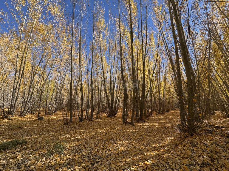 Terreno en Venta en Las Heras, Mendoza