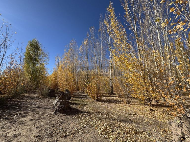 Terreno en Venta en Las Heras, Mendoza