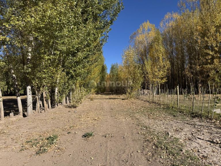 Terreno en Venta en Las Heras, Mendoza