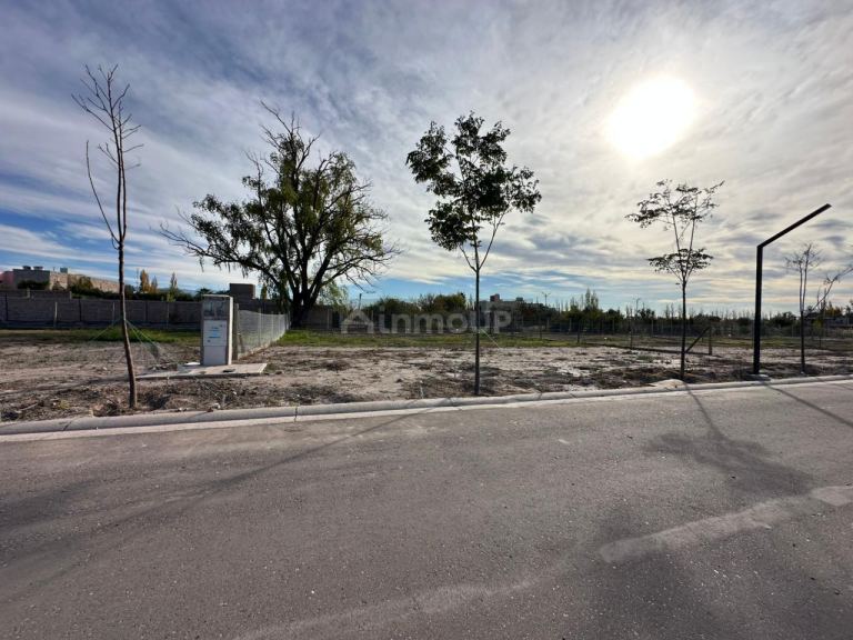 Terreno en Venta en Lujan de Cuyo, Mendoza