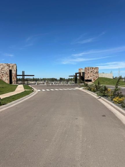 Terreno en Venta en Lujan de Cuyo, Mendoza