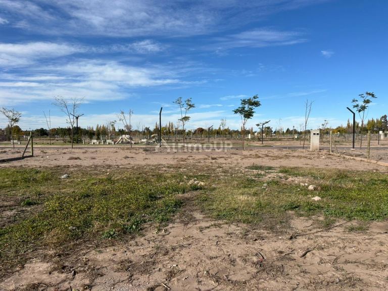 Terreno en Venta en Lujan de Cuyo, Mendoza