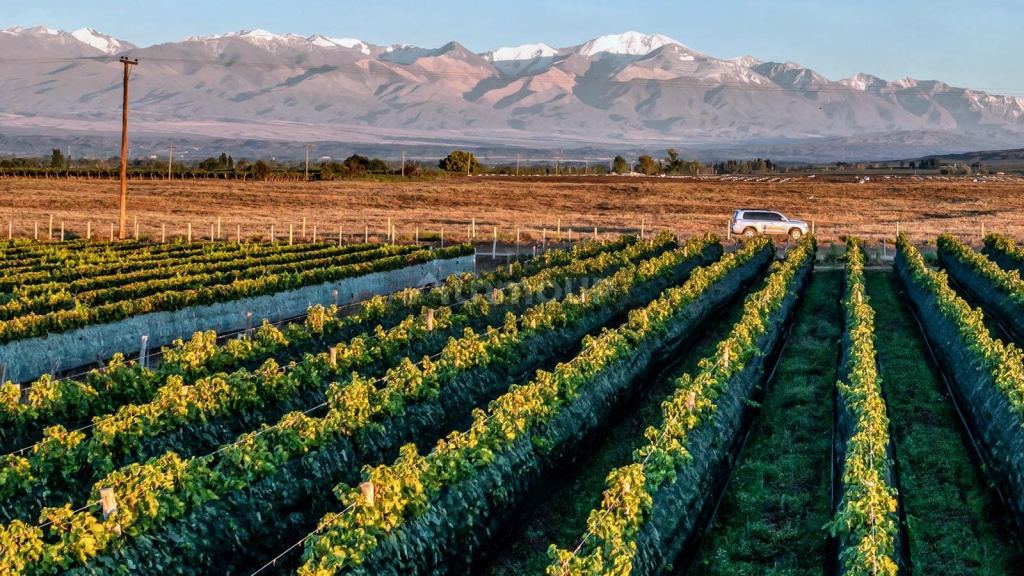 Terreno en Venta en Tupungato, Mendoza