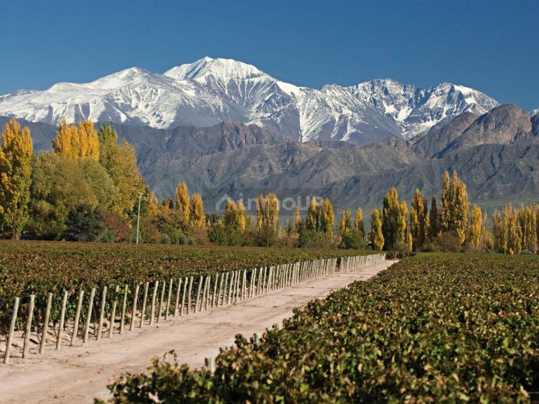 Terreno en Venta en Tupungato, Mendoza