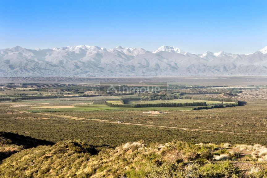 Terreno en Venta en Tupungato, Mendoza