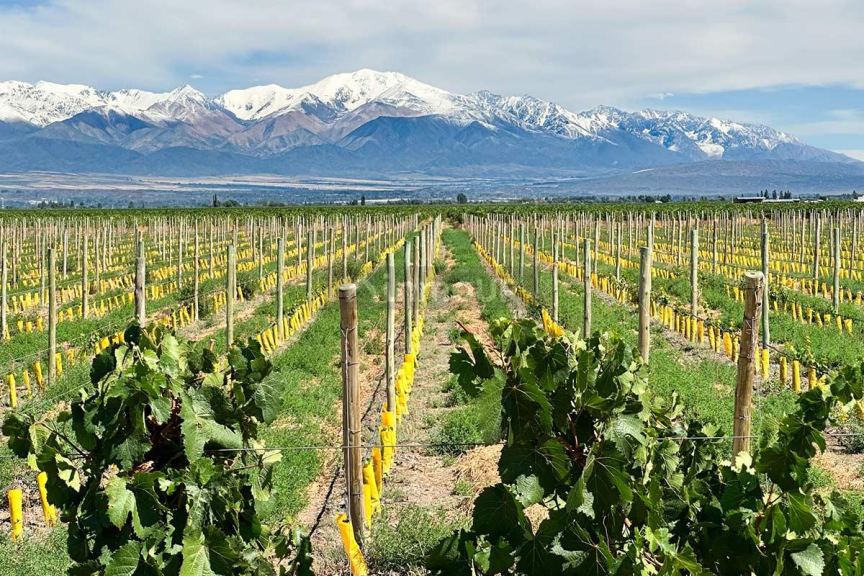 Terreno en Venta en Tupungato, Mendoza