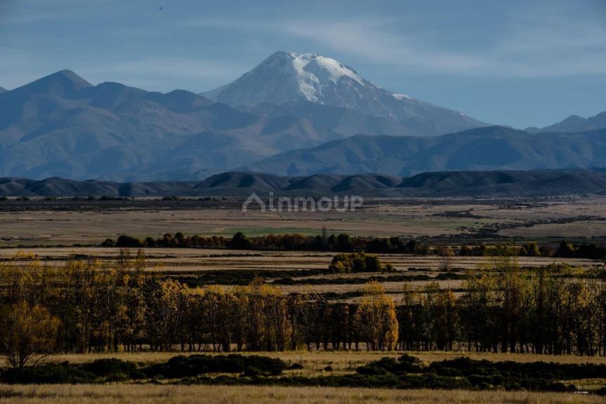 Terreno en Venta en Tupungato, Mendoza