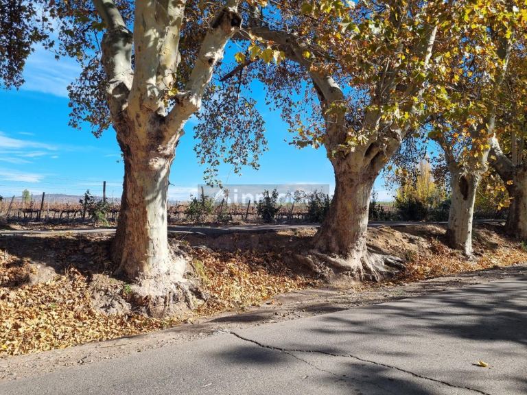Terreno en Venta en Maipu, Mendoza