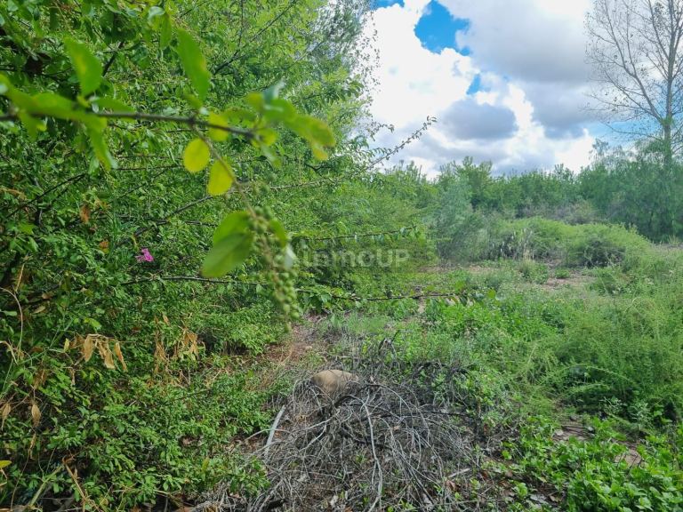 Terreno en Venta en Maipu, Mendoza