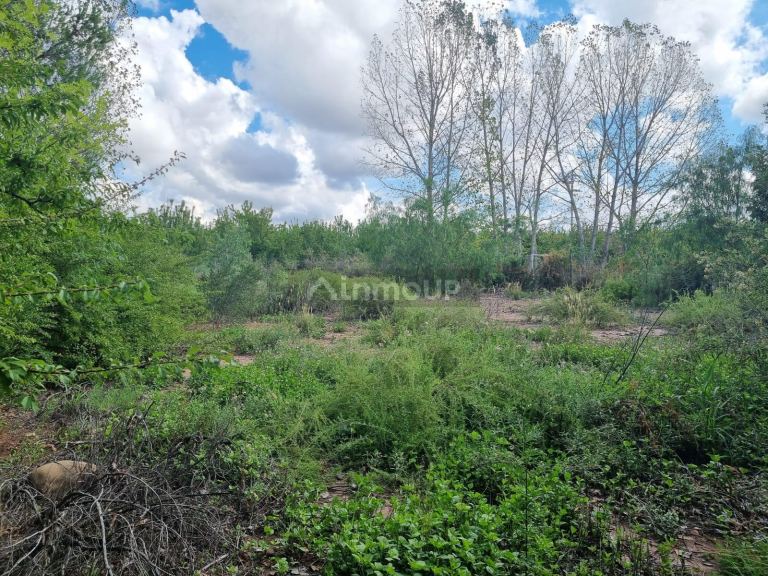 Terreno en Venta en Maipu, Mendoza