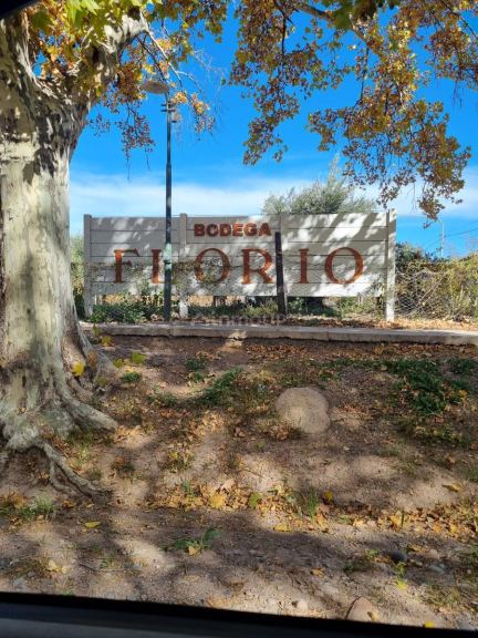 Terreno en Venta en Maipu, Mendoza