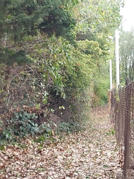 Terreno en Venta en Maipu, Mendoza
