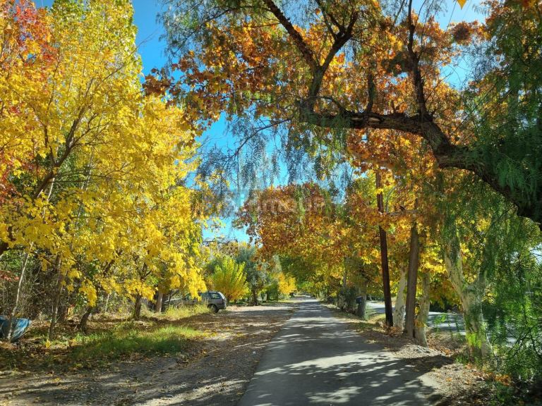 Terreno en Venta en Maipu, Mendoza