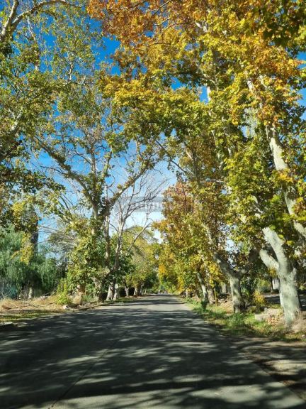 Terreno en Venta en Maipu, Mendoza
