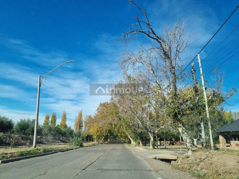 Terreno en Venta en Maipu, Mendoza