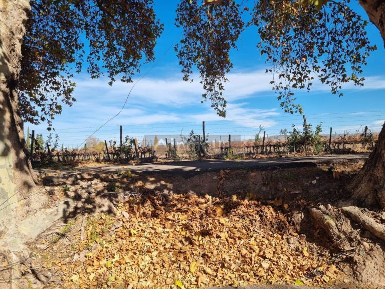 Terreno en Venta en Maipu, Mendoza