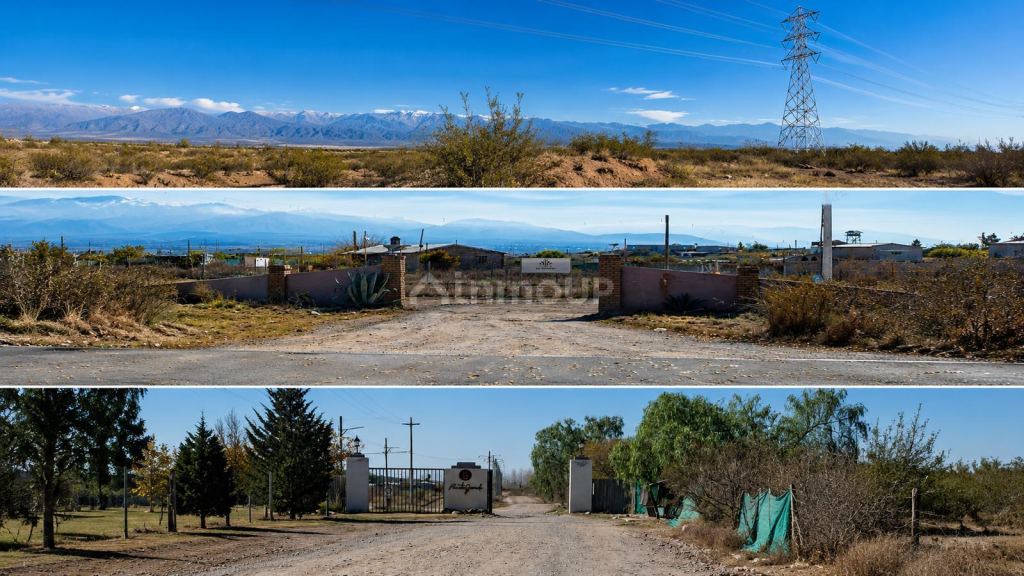 Terreno en Venta en Lujan de Cuyo, Mendoza