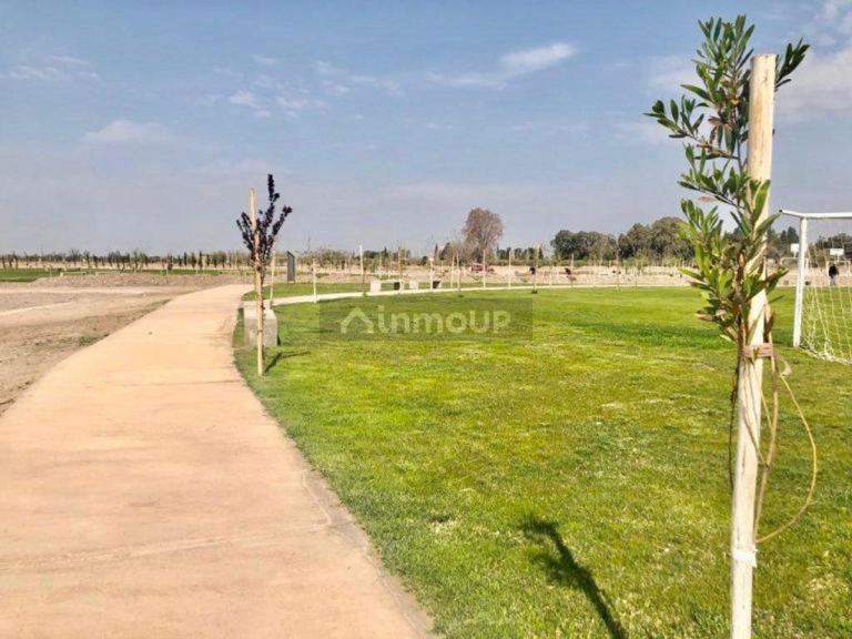 Terreno en Venta en Maipu, Mendoza