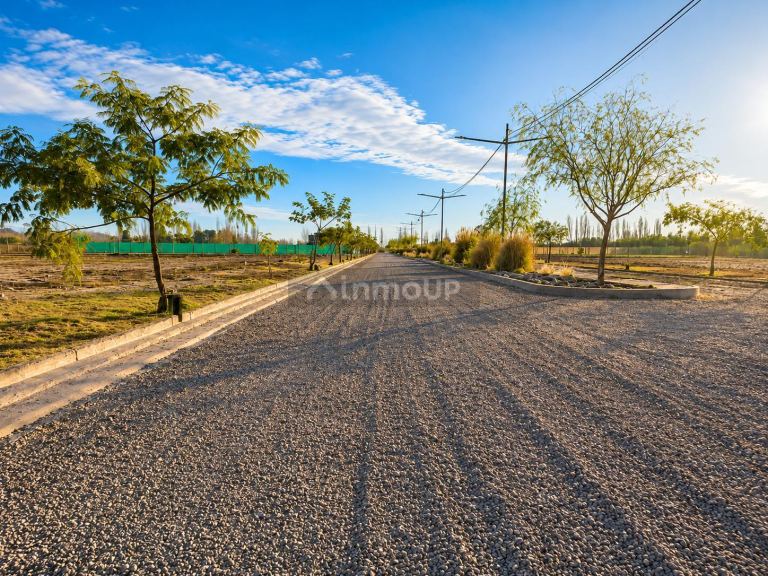 Terreno en Venta en Lujan de Cuyo, Mendoza