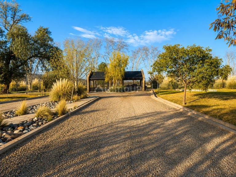 Terreno en Venta en Lujan de Cuyo, Mendoza