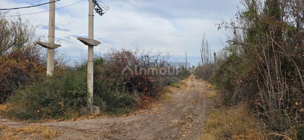 Finca en Venta en Lavalle, Mendoza