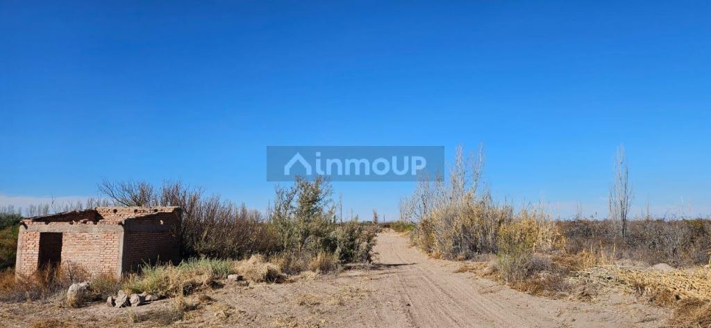Finca en Venta en Lavalle, Mendoza