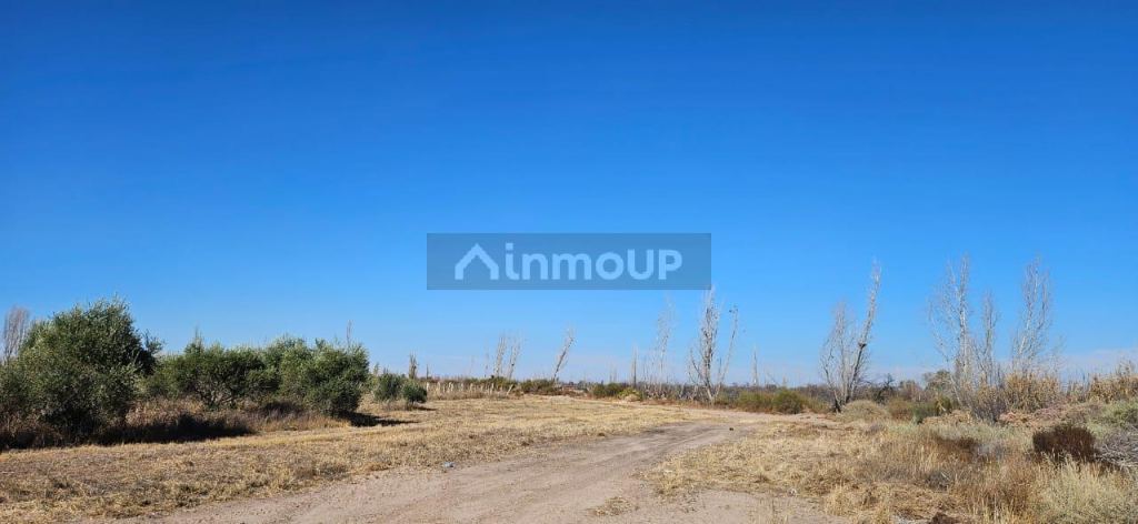 Finca en Venta en Lavalle, Mendoza